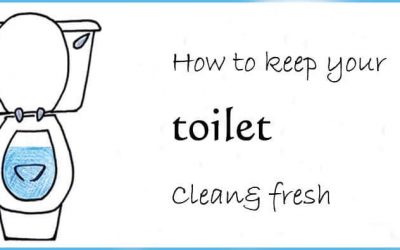 How to keep your toilet  clean and fresh