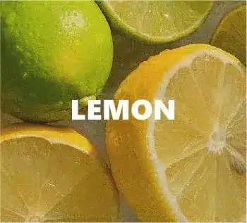 fragrances lemon