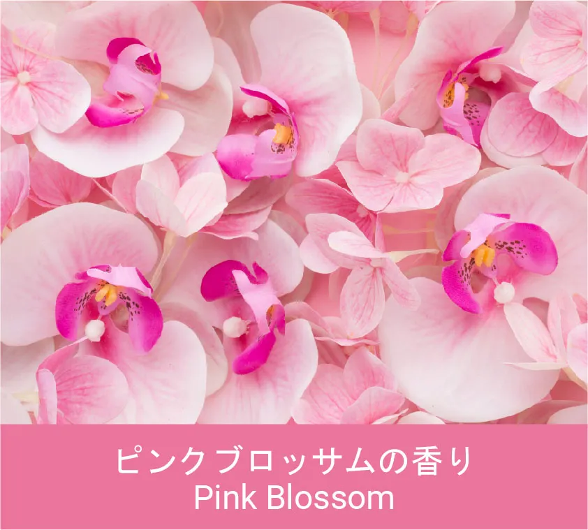 Pink Blossom