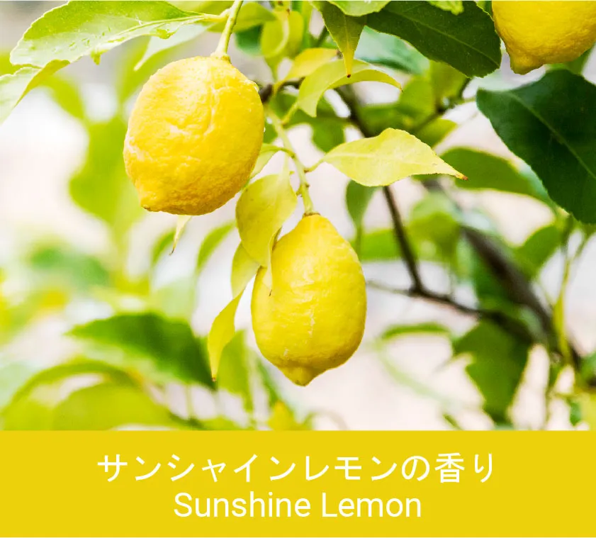 Sunshine Lemon